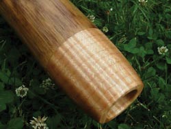 Agave Didgeridoo Agave Didgeridoo
