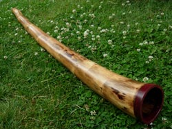 agave didgeridoo 1