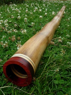 agave didgeridoo 1
