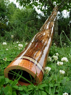 agave didgeridoo 1