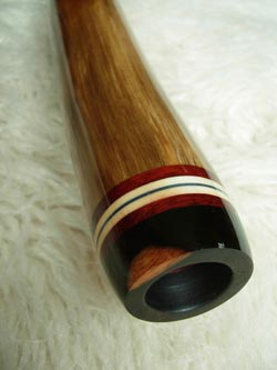 agave didgeridoo 1