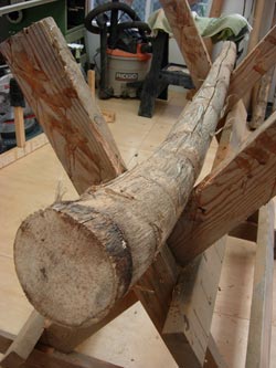 making an agave didgeridoo