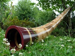 Agave Didgeridoo