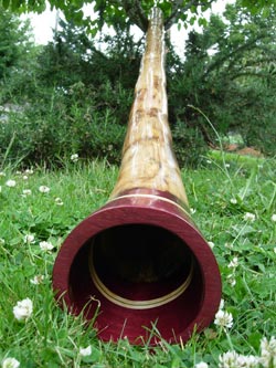 agave didgeridoo 1