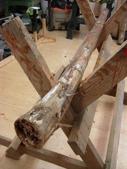 making an agave didgeridoo