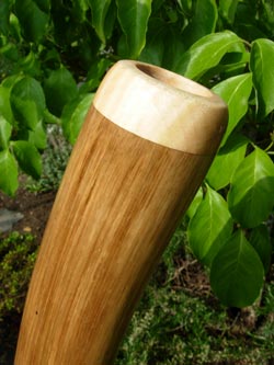 agave didgeridoo 1