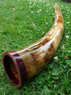 agave didgeridoo 1