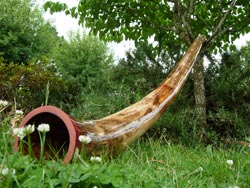 Agave Didgeridoo