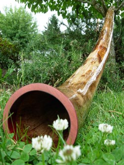 agave didgeridoo 1
