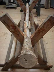 agave didgeridoo 1