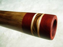 agave didgeridoo 1