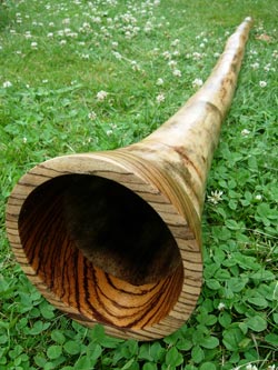 agave didgeridoo 1