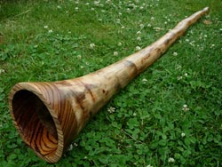 agave didgeridoo 1