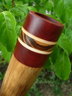 agave didgeridoo 1