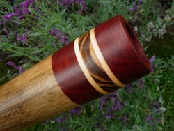 Agave Zebra Didgeridoo