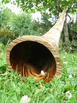 agave didgeridoo 1