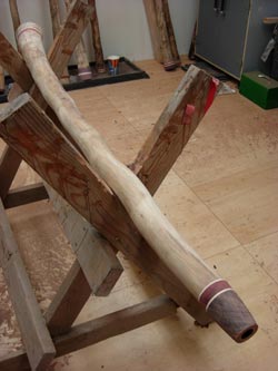 making an agave didgeridoo