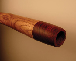 Camelia Didgeridoo