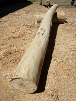 making an wooden didgeridoo