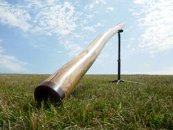 wood didgeridoo 