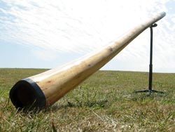 Spalted Birch Didgeridoo